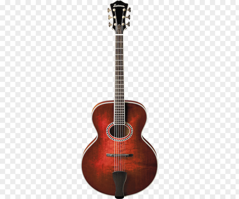 Guitar Acoustic-electric Acoustic Archtop PNG