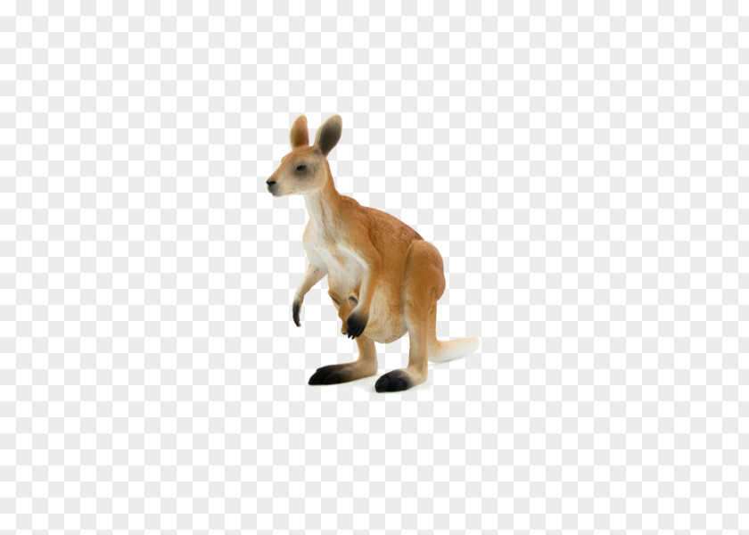 Kangaroo Macropods Red Stuffed Animals & Cuddly Toys PNG
