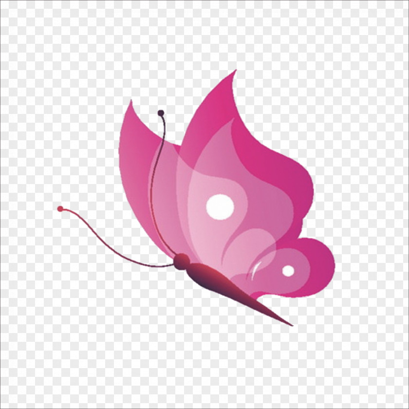 Pink Butterfly Insect Drawing PNG
