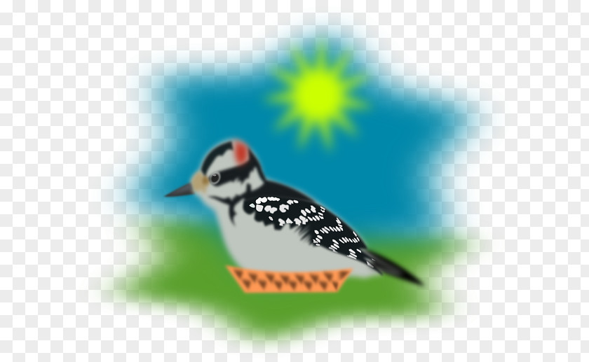 Sparrow Bird Picus Clip Art PNG