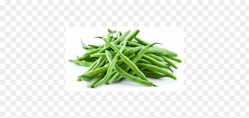 Vegetable Green Bean Common Nutrient Nutrition PNG