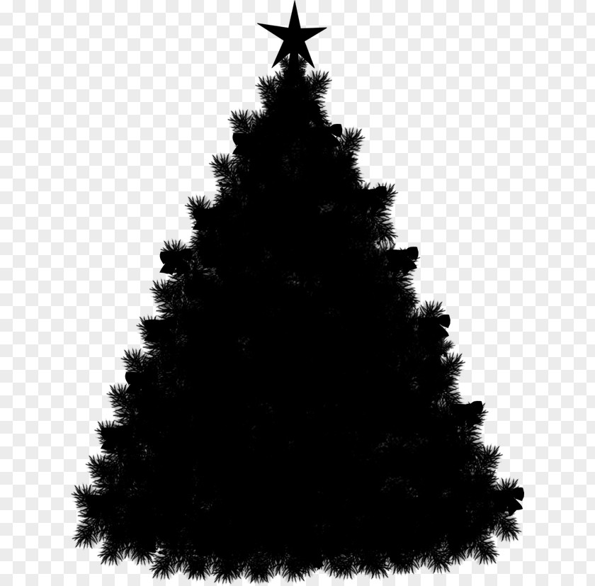 Christmas Tree Fir Spruce Vector Graphics Royalty-free PNG