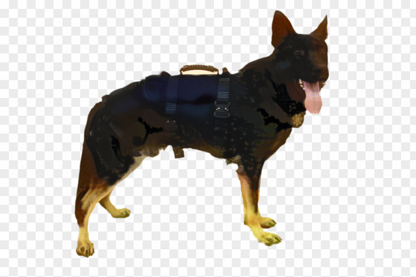 Lancashire Heeler Companion Dog Police Cartoon PNG