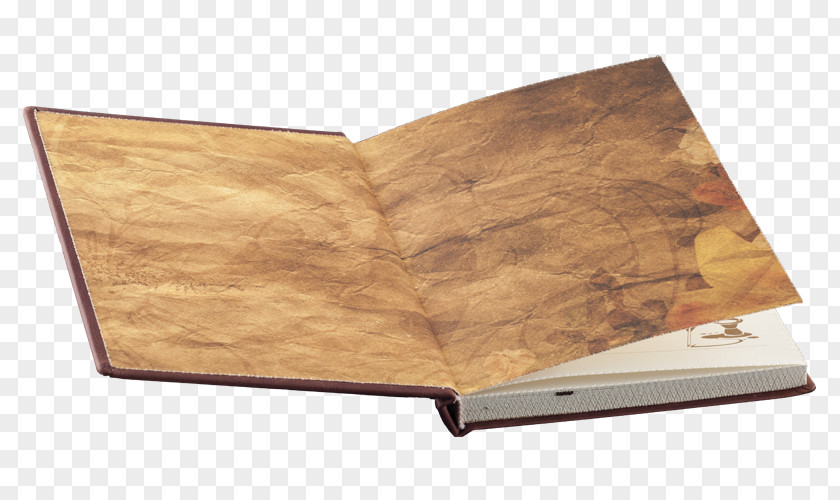 Wood Plywood Stain Varnish Hardwood PNG