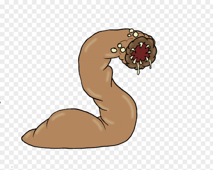 18 Worm Carnivores Reptile Illustration Cartoon Muscle PNG