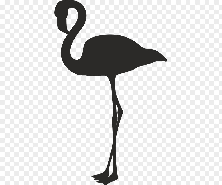 Bird Sticker Phoenicopteridae Clip Art PNG