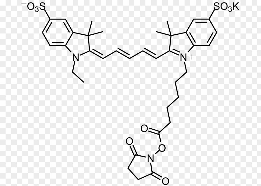 Carboxyfluorescein Diacetate Succinimidyl Ester Cyanine Maleimide N-Hydroxysuccinimide Amine Carboxylic Acid PNG