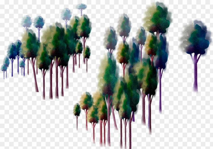 Design Tree 树林 Cartoon PNG
