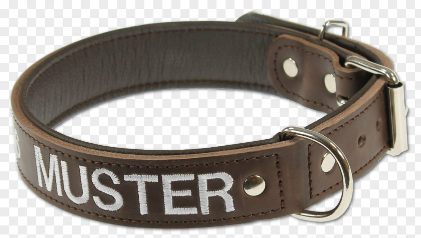 Dog Collar Artificial Leather PNG