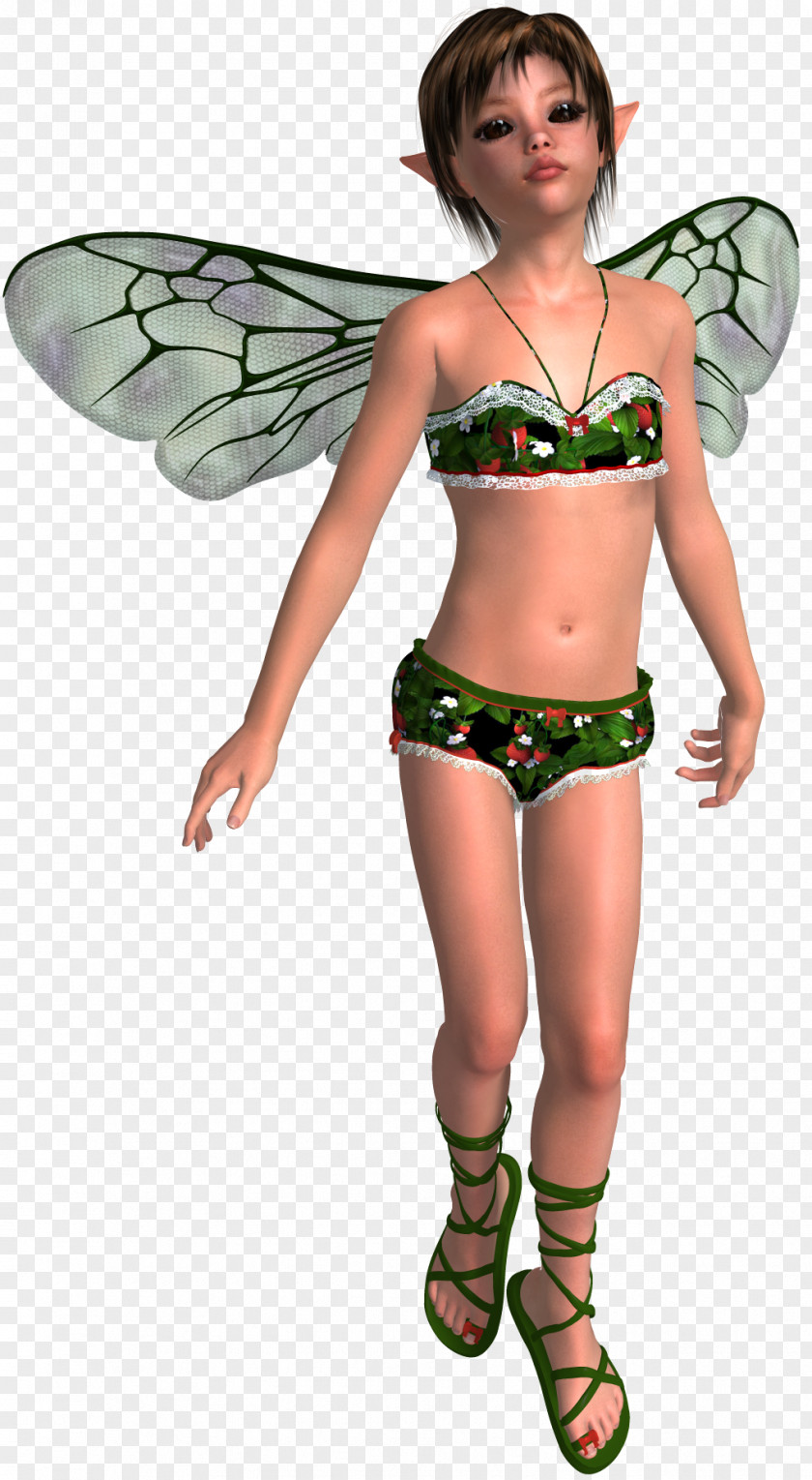 Fairies Fairy Tinker Bell Troll Peeter Paan Nisse PNG