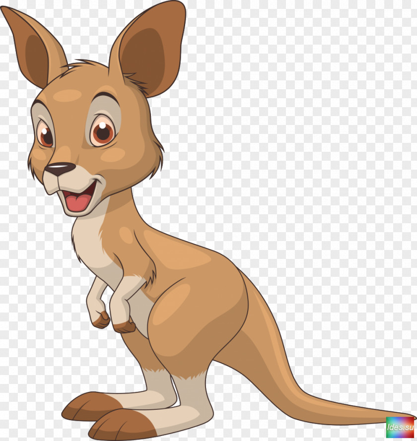 Kangaroo Cartoon Clip Art PNG