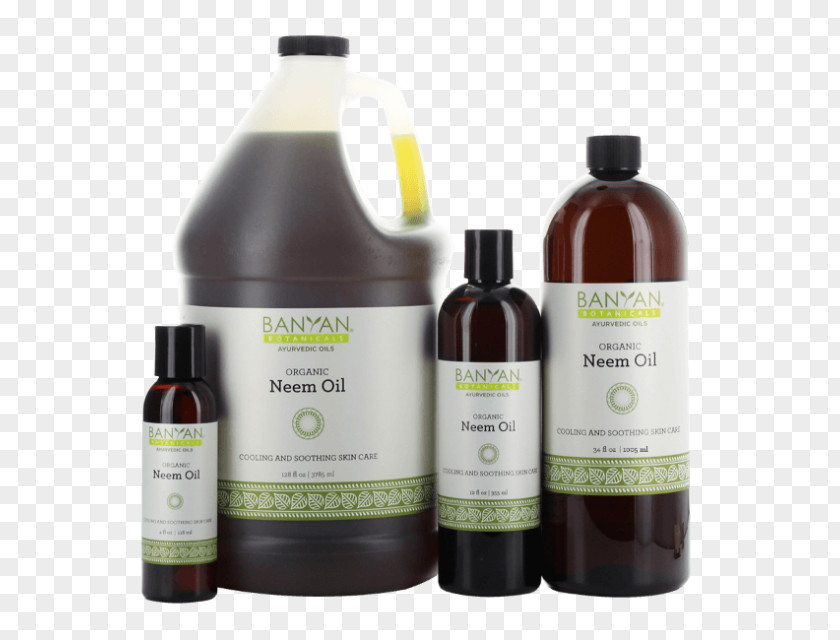 Neem Oil Tree Ayurveda Skin PNG