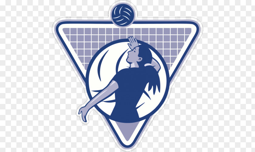 VOLEYBALL Volleyball Stock Photography Clip Art PNG