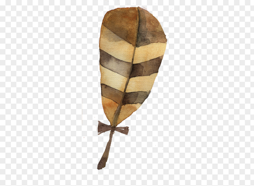 Brown Feathers The Floating Feather PNG