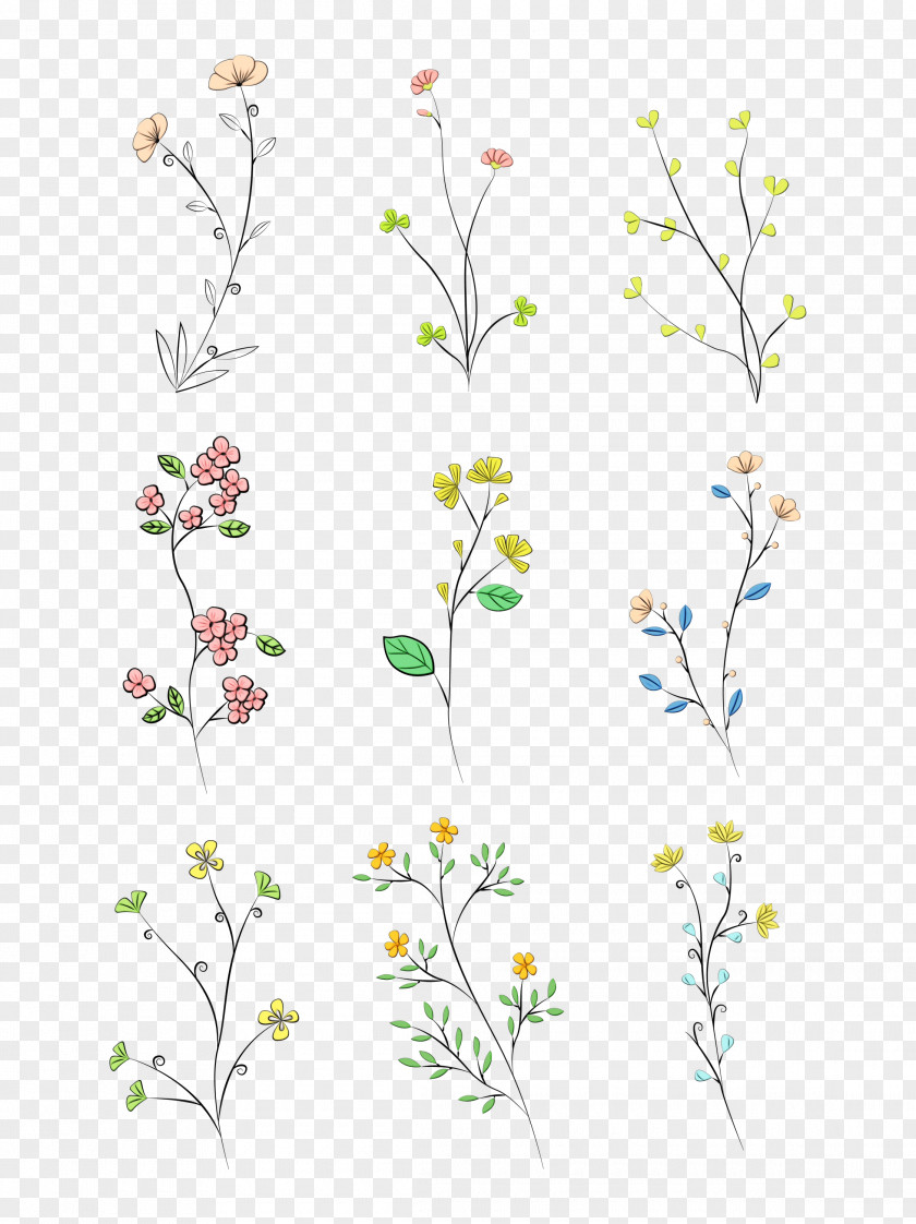 Floral Design Cut Flowers Plant Stem Leaf PNG