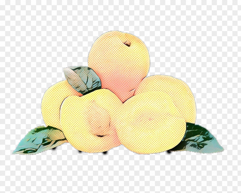 Fruit Plant Retro Background PNG