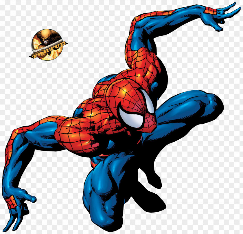 Spider-man Spider-Man Gwen Stacy Marvel Comics Universe PNG