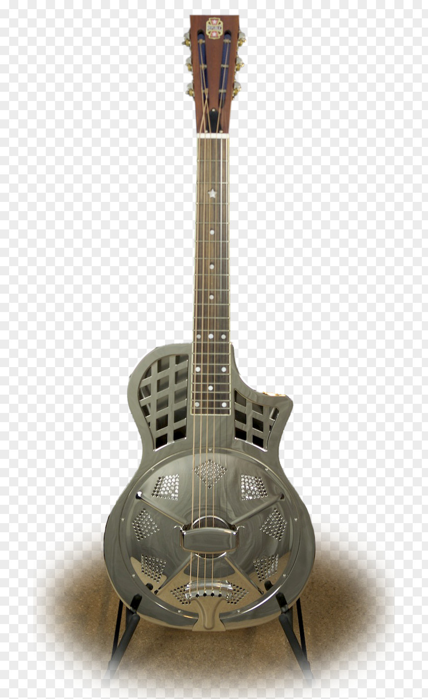 Bass Guitar Resonator Acoustic Acoustic-electric PNG