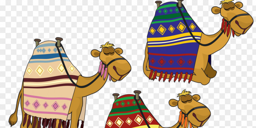 Camelid Arabian Camel Bactrian PNG