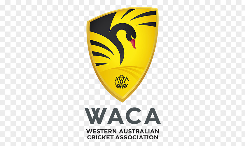 Cricket WACA Ground Western Australia Team National New Zealand Perth Scorchers PNG