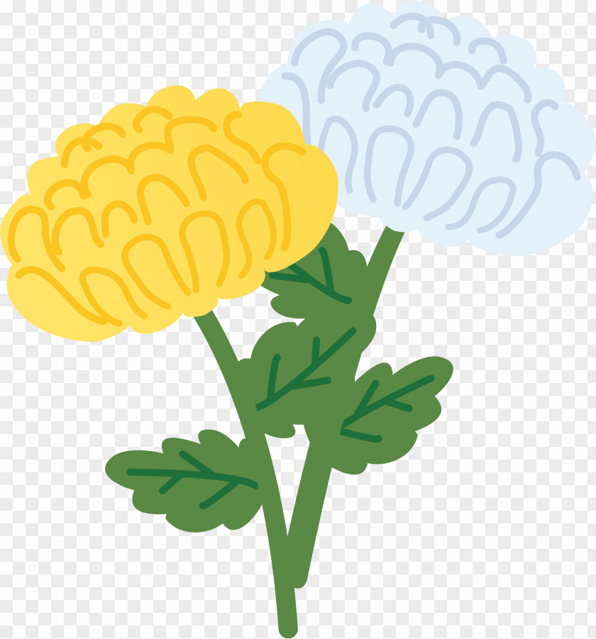 Flower Higan Chrysanthemum ×grandiflorum 法要 年忌 PNG