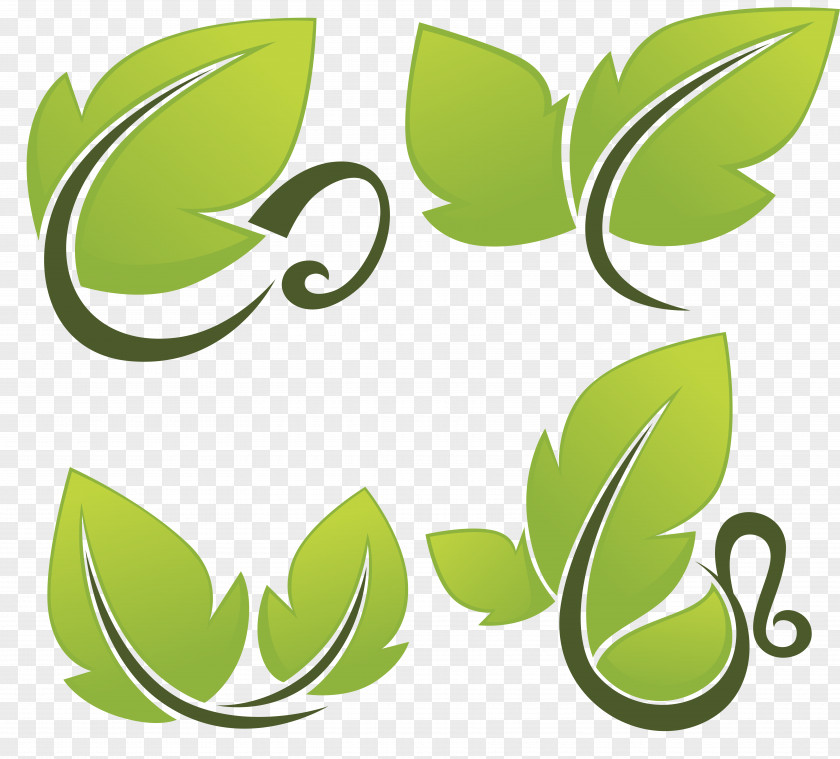 Leaves Vector Clip Art PNG