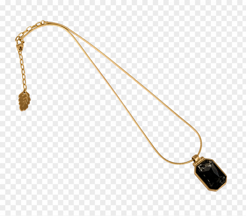 Necklace Amulet Earring Jewellery Charms & Pendants PNG