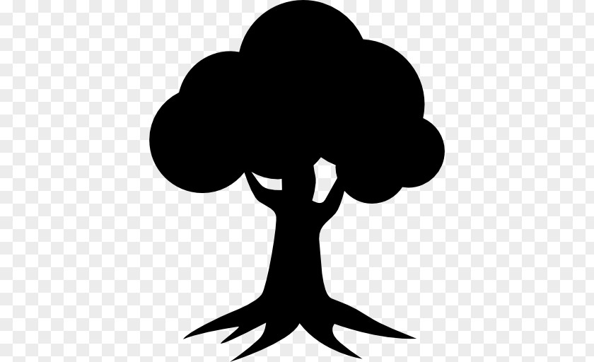 Oak Icon Design Tree Clip Art PNG