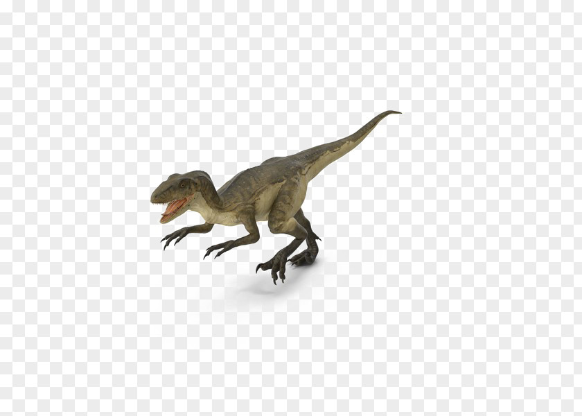 Velociraptor Blue Deinonychus Transparency Image PNG