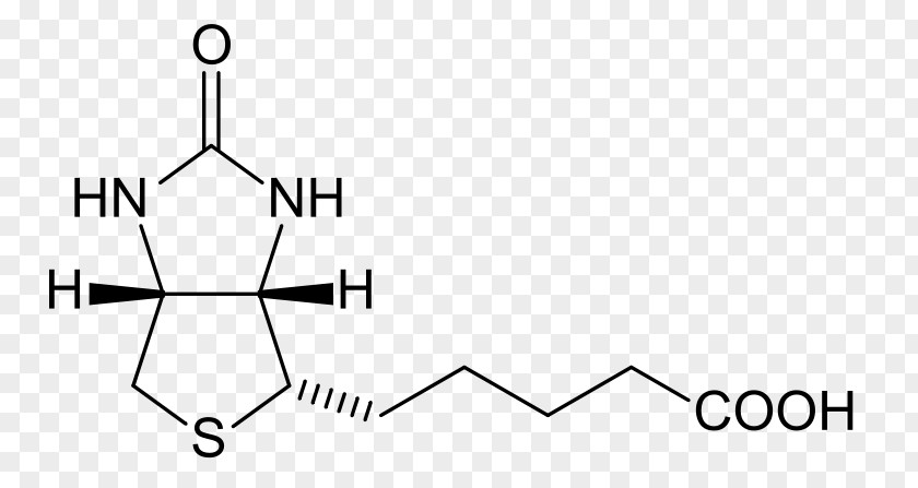 Vitamins Biotinylation Dietary Supplement Avidin Coenzyme PNG