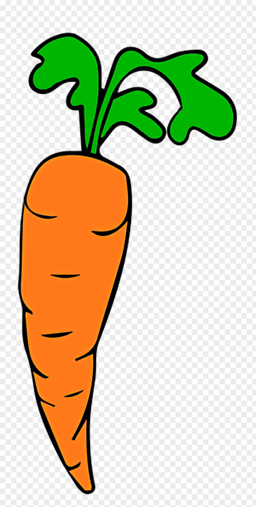 Carrot Root Vegetable Radish Plant PNG