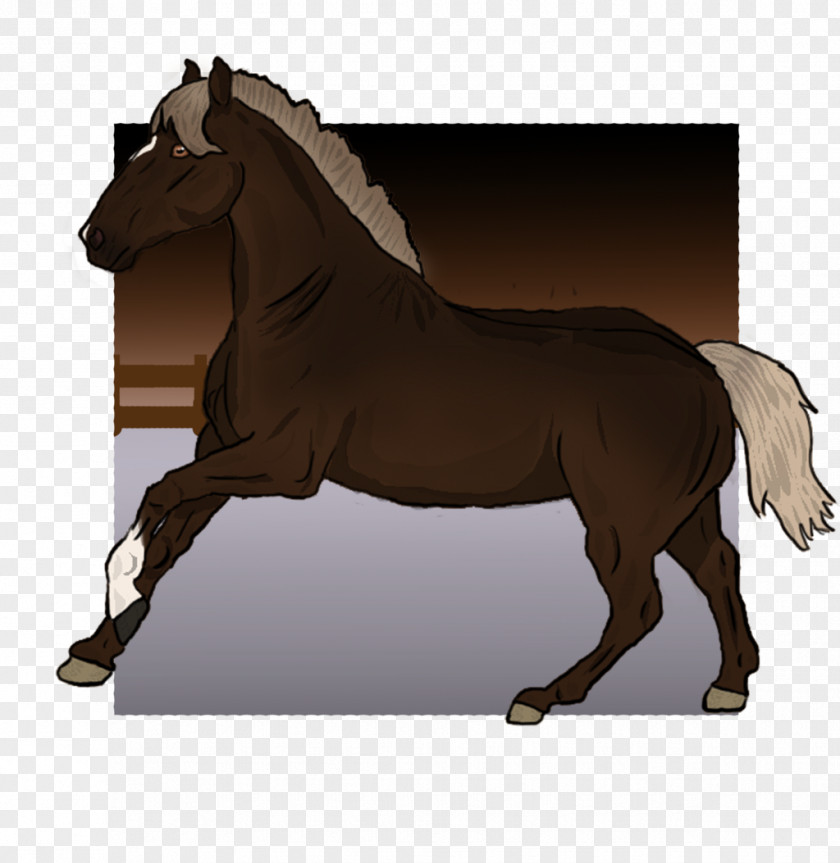 Gallop Mane Mustang Stallion Pony Mare PNG