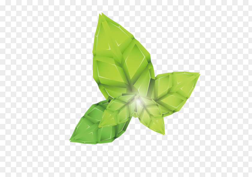 Leaves Geometry Euclidean Vector Leaf PNG