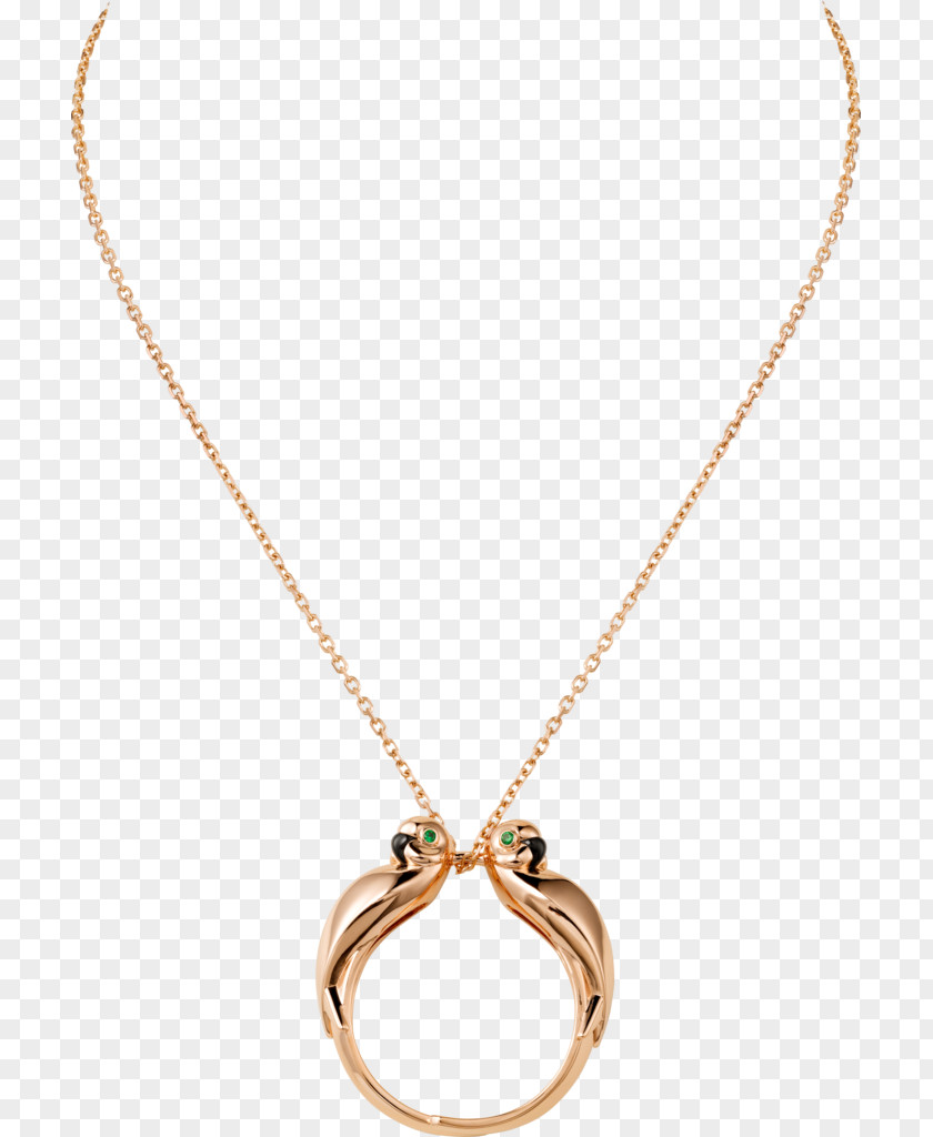 Necklace Tsavorite Garnet Gold Locket PNG