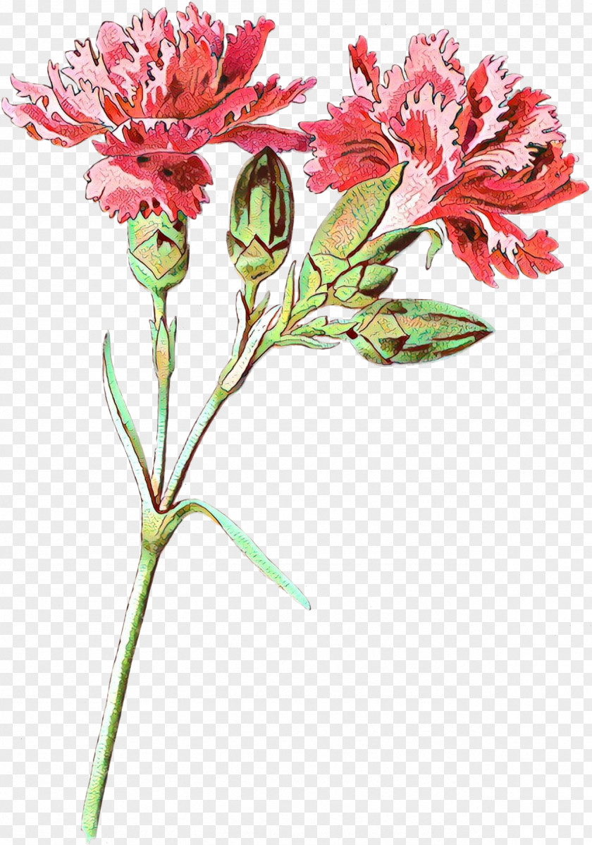 Perennial Plant Stem Lily Flower Cartoon PNG