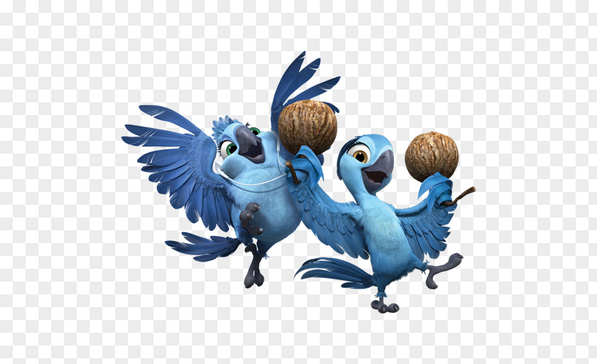 Rio2 Kids Parrot Wing Bird Of Prey Beak Illustration PNG