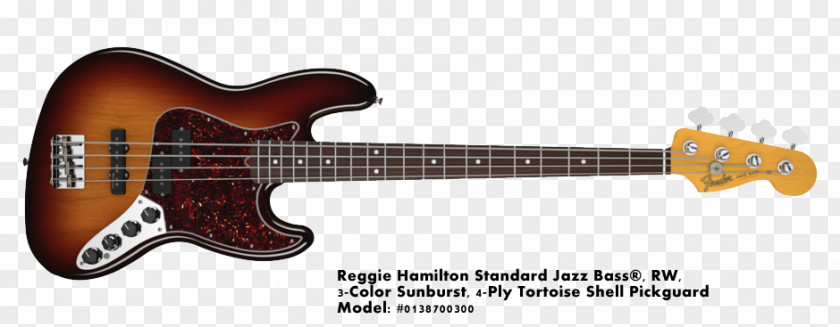 Bass Guitar Fender Jazz Musical Instruments Corporation American Standard PNG