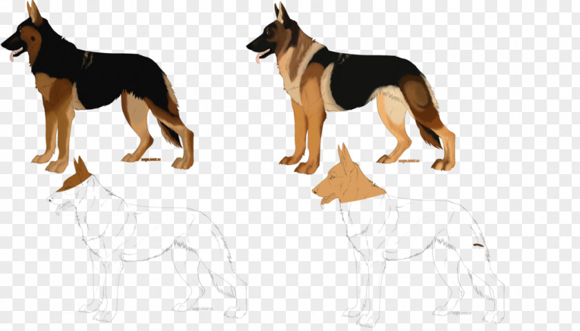 Dog Breed German Shepherd Paw Tail PNG