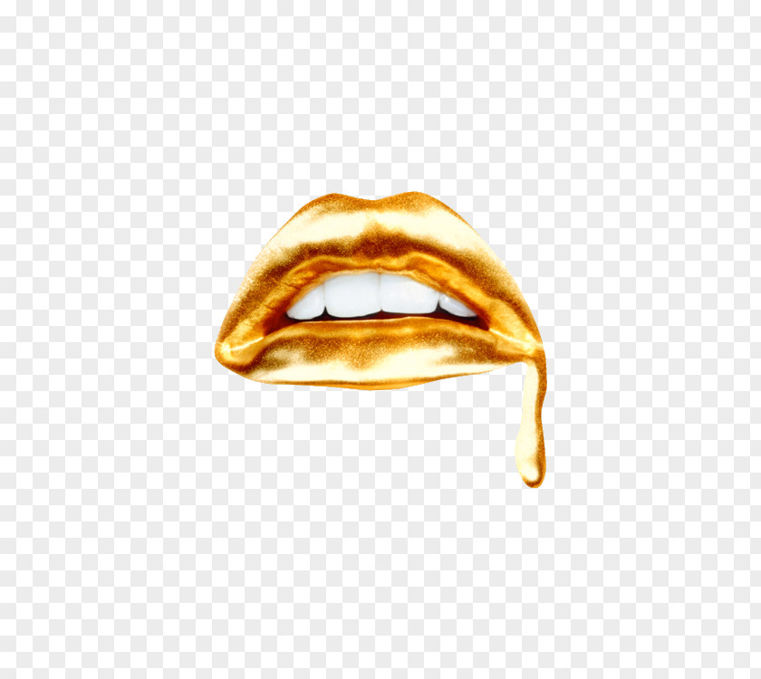 Gold Kiss Lip Art Velvet Noose Mouth PNG