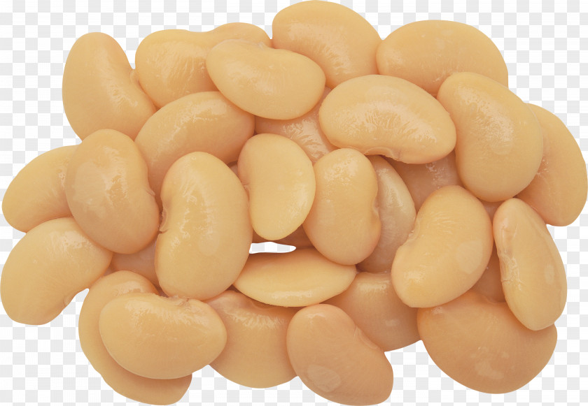 Garlic Navy Bean Common Recipe Food PNG