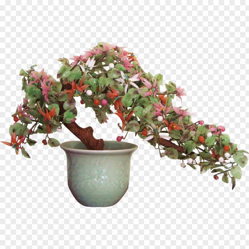 Jade Flower Plant Chinese Tree Bonsai PNG