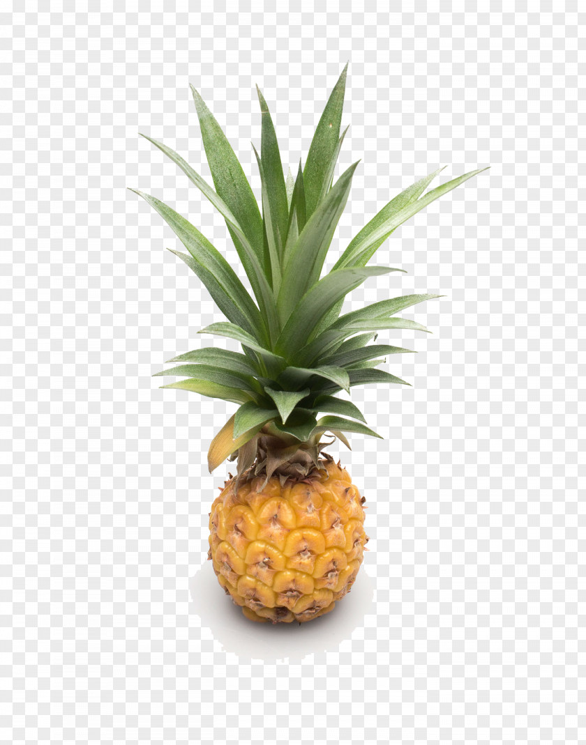 Pineapple Free Matting Products In Kind Auglis Fruit Google Images PNG