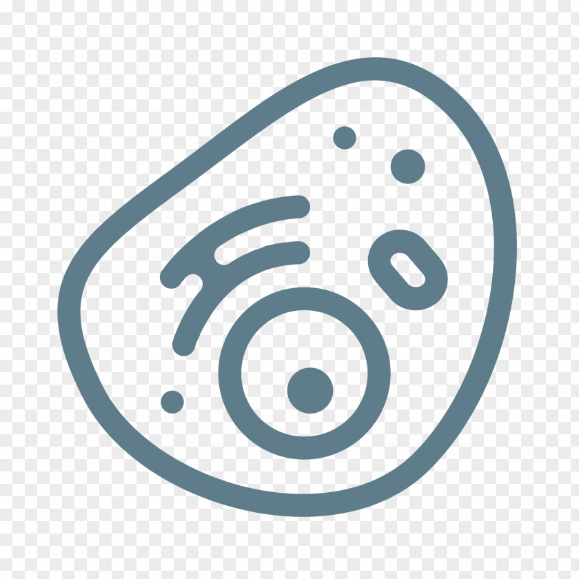 Red Blood Cell Eukaryote PNG