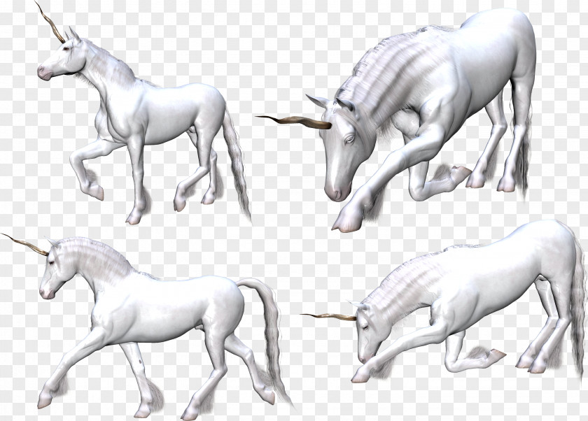Unicorns Unicorn Horn Mane PNG