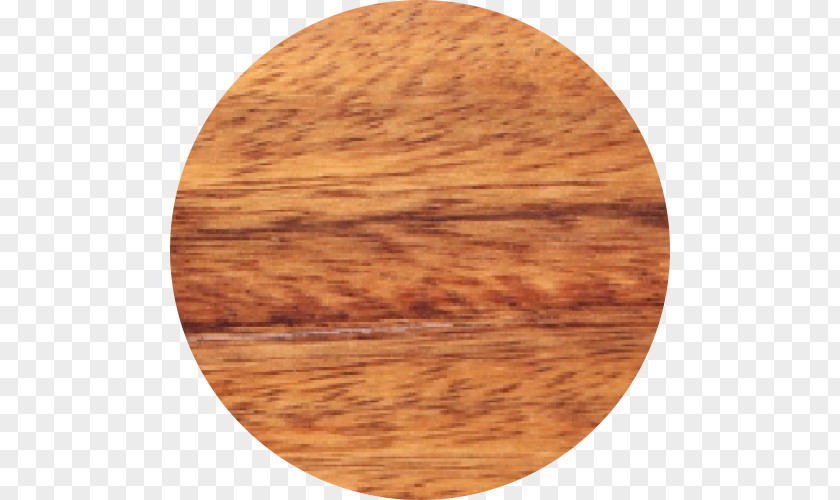 Wood Circle Enterolobium Cyclocarpum Plywood Stain Lumber PNG