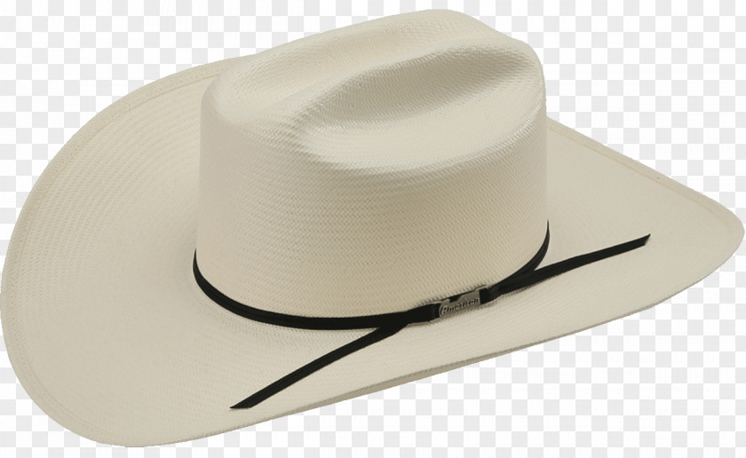 America Hat Straw Color PNG