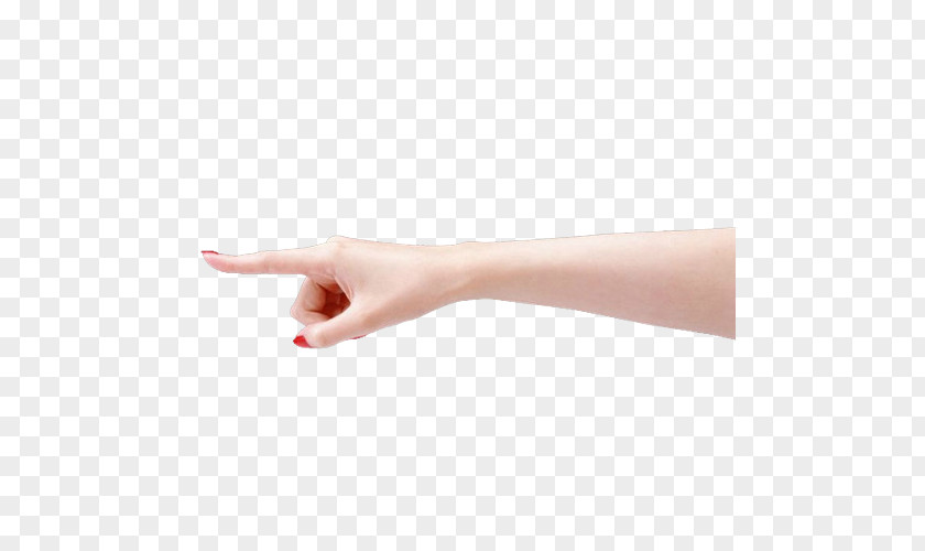 Girls Fingers Thumb Finger Digit PNG