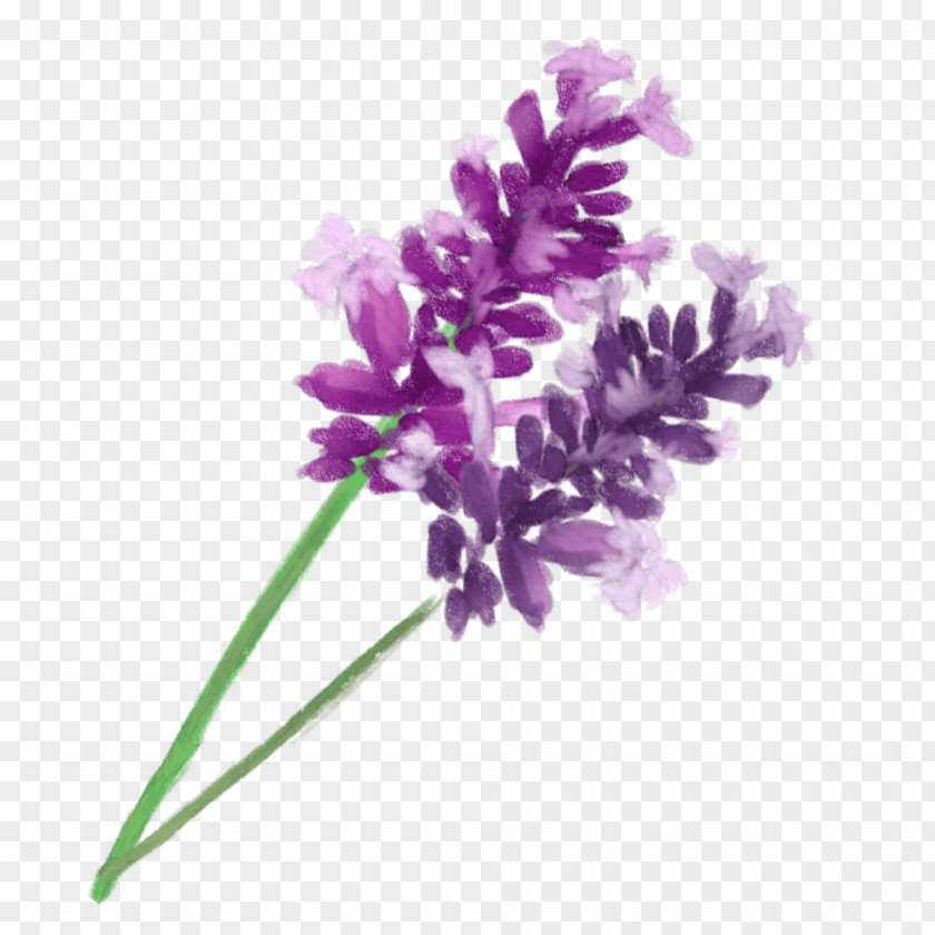 Menu Psd English Lavender Aromatherapy Purple PNG