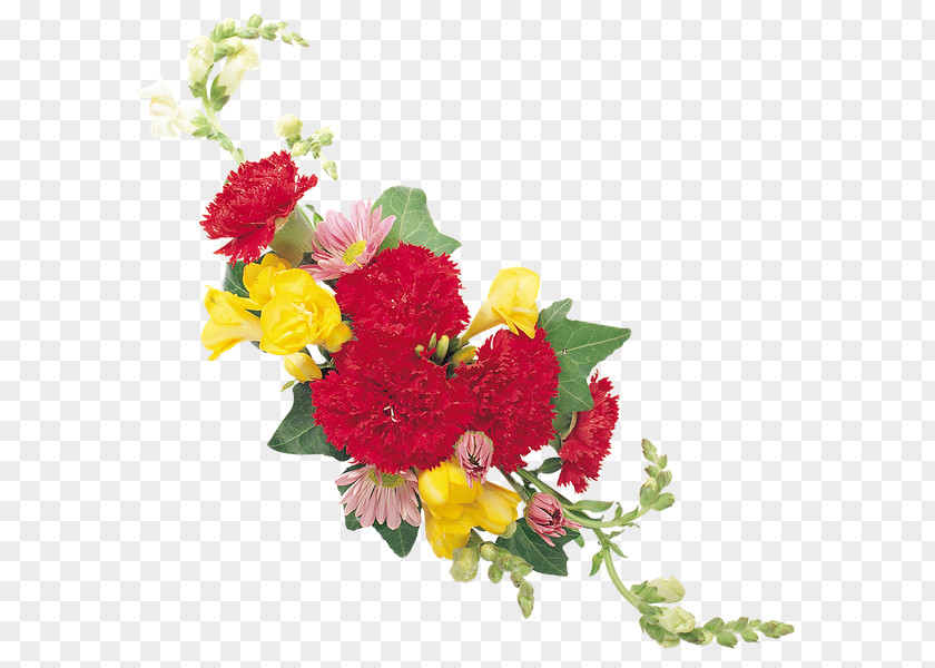 Flower Floral Design Carnation Cut Flowers Rose PNG