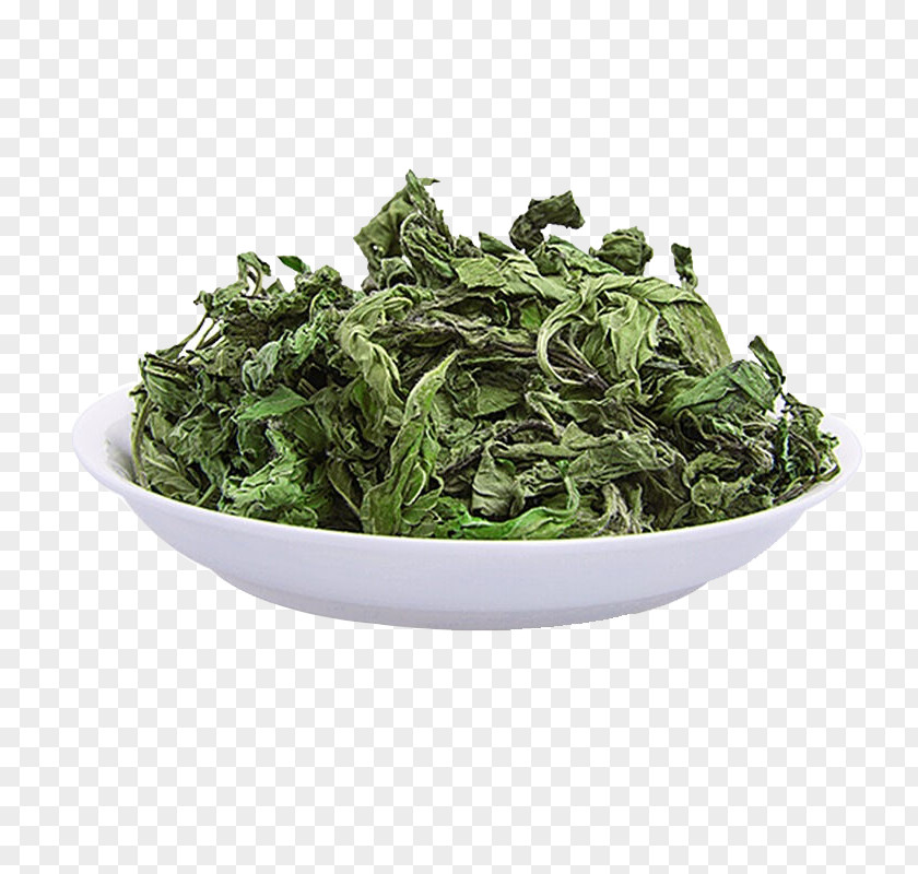 Green Tea Maghrebi Mint Mentha Spicata Arvensis Peppermint PNG